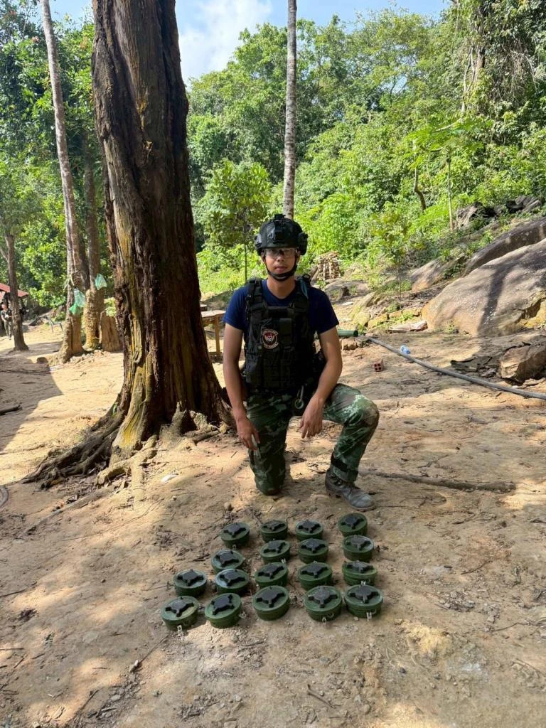 PMN-2 ที่ตรวจพบบนภูมะเขือ