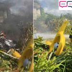 เปิดภาพ เฮลิคอปเตอร์ ตกไฟลุกไหม้ ใกล้ศูนย์ซ่อมรถไฟฟ้า BTS